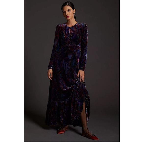 Anthropologie Burnout Velvet Maxi Dress - Picture 2 of 15